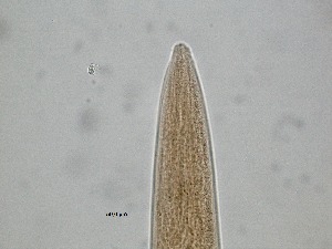  ( - 12H6K12)  @11 [ ] by_nc_nd (2012) Unspecified Ghent University