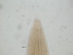  ( - 12H6K12)  @11 [ ] by_nc_nd (2012) Unspecified Ghent University