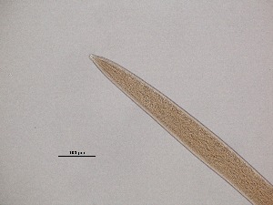  ( - 20H6K12)  @11 [ ] by_nc_nd (2012) Unspecified Ghent University