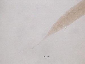 ( - 36H6K12)  @11 [ ] by_nc_nd (2012) Unspecified Ghent University