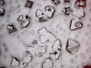  ( - 56H6K12)  @11 [ ] by_nc_nd (2012) Unspecified Ghent University