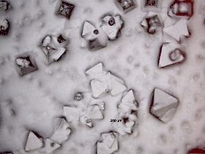  ( - 56H6K12)  @11 [ ] by_nc_nd (2012) Unspecified Ghent University