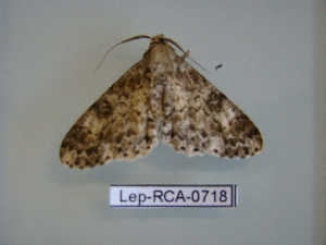  ( - LEP-RCA-0718)  @12 [ ] CreativeCommons - Attribution Non-Commercial Share-Alike (2012) J.LORET ECODIV