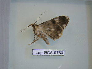  ( - LEP-RCA-0760)  @12 [ ] CreativeCommons - Attribution Non-Commercial Share-Alike (2012) J.LORET ECODIV