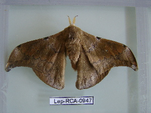  ( - LEP-RCA-0947)  @13 [ ] CreativeCommons - Attribution Non-Commercial Share-Alike (2012) J.LORET ECODIV