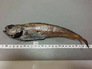  ( - MHJ020)  @11 [ ] Unspecified (default): All Rights Reserved  Unspecified Unspecified