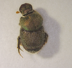  ( - SPEC#0581)  @11 [ ] CreativeCommons  Attribution Non-Commercial Share-Alike  (2024) Unspecified Princeton University