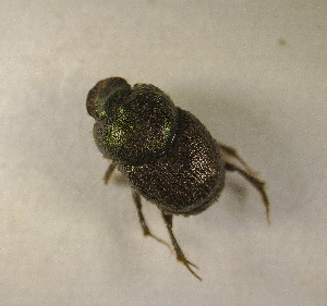  ( - SPEC#2746)  @11 [ ] CreativeCommons  Attribution Non-Commercial Share-Alike  (2024) Unspecified Princeton University