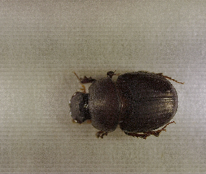  ( - SPEC#4338)  @11 [ ] CreativeCommons  Attribution Non-Commercial Share-Alike  (2024) Unspecified Princeton University