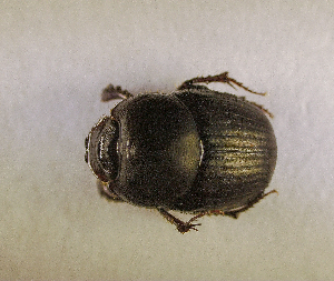  ( - SPEC#4342)  @11 [ ] CreativeCommons  Attribution Non-Commercial Share-Alike  (2024) Unspecified Princeton University