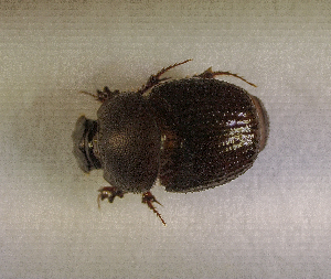  ( - SPEC#4360)  @11 [ ] CreativeCommons  Attribution Non-Commercial Share-Alike  (2024) Unspecified Princeton University