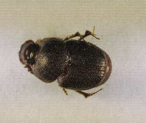  ( - SPEC#4442)  @11 [ ] CreativeCommons  Attribution Non-Commercial Share-Alike  (2024) Unspecified Princeton University