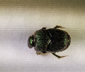  ( - SPEC#6460)  @11 [ ] CreativeCommons  Attribution Non-Commercial Share-Alike  (2024) Unspecified Princeton University