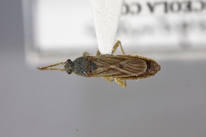  ( - USNM ENT 02103237)  @11 [ ] Unspecified (default): All Rights Reserved  Unspecified Unspecified