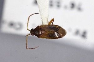  ( - USNM ENT 02103394)  @11 [ ] Unspecified (default): All Rights Reserved  Unspecified Unspecified