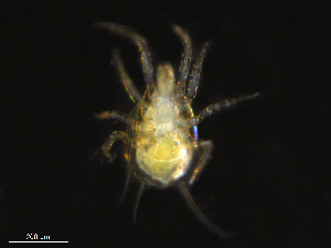  ( - BIOUG30428-H03)  @11 [ ] CreativeCommons - Attribution (2019) CBG Photography Group Centre for Biodiversity Genomics