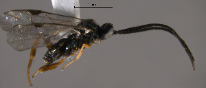  ( - Micro0046)  @12 [ ] Unspecified (default): All Rights Reserved  Unspecified Unspecified