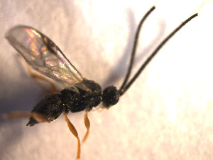  ( - Micro0082)  @12 [ ] Unspecified (default): All Rights Reserved  Unspecified Unspecified