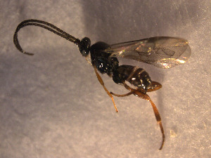  ( - Micro0096)  @12 [ ] Unspecified (default): All Rights Reserved  Unspecified Unspecified