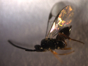  ( - Micro0097)  @12 [ ] Unspecified (default): All Rights Reserved  Unspecified Unspecified