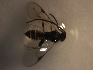  ( - Micro0196)  @12 [ ] Unspecified (default): All Rights Reserved  Unspecified Unspecified