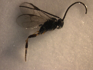  ( - Micro0198)  @12 [ ] Unspecified (default): All Rights Reserved  Unspecified Unspecified