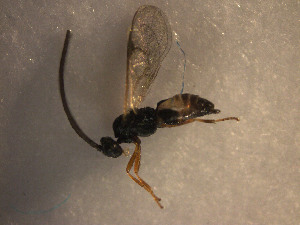  ( - Micro0240)  @12 [ ] Unspecified (default): All Rights Reserved  Unspecified Unspecified