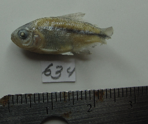  ( - MXIII634)  @13 [ ] Unspecified (default): All Rights Reserved  Unspecified Unspecified