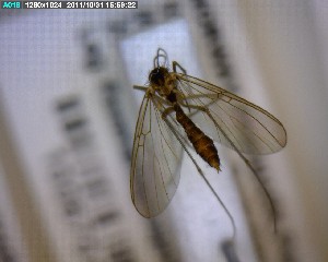  ( - FinMyc234)  @12 [ ] Unspecified (default): All Rights Reserved (2011) Unspecified NHMO