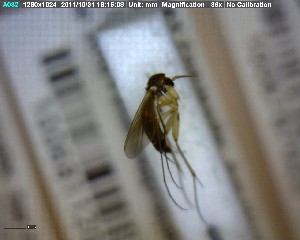  ( - FinMyc248)  @12 [ ] Unspecified (default): All Rights Reserved (2011) Unspecified NHMO