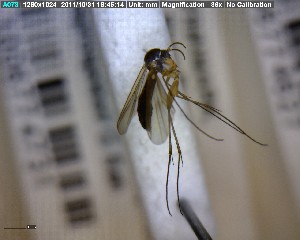  ( - FinMyc289)  @12 [ ] Unspecified (default): All Rights Reserved (2011) Unspecified NHMO