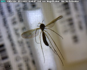  ( - FinMyc290)  @12 [ ] Unspecified (default): All Rights Reserved (2011) Unspecified NHMO