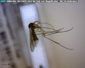  ( - FinMyc291)  @12 [ ] Unspecified (default): All Rights Reserved (2011) Unspecified NHMO