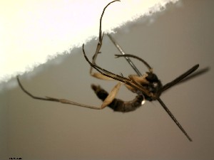  ( - FinMyc421)  @12 [ ] Unspecified (default): All Rights Reserved (2012) Unspecified NHMO
