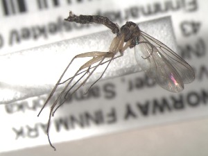 ( - FinMyc150)  @11 [ ] Unspecified (default): All Rights Reserved (2011) Unspecified NHMO