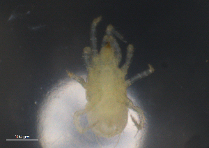  ( - BIOUG10944-C12)  @13 [ ] CreativeCommons - Attribution (2014) Centre for Biodiversity Genomics Centre for Biodiversity Genomics