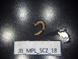  ( - JB_MPL_SCZ_18)  @11 [ ] CreativeCommons - Attribution Non-Commercial Share-Alike (2025) Unspecified University of Lodz, Department of Invertebrate Zoology and Hydrobiology