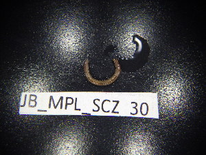  ( - JB_MPL_SCZ_30)  @11 [ ] CreativeCommons - Attribution Non-Commercial Share-Alike (2025) Unspecified University of Lodz, Department of Invertebrate Zoology and Hydrobiology