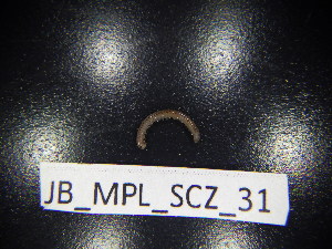  ( - JB_MPL_SCZ_31)  @11 [ ] CreativeCommons - Attribution Non-Commercial Share-Alike (2025) Unspecified University of Lodz, Department of Invertebrate Zoology and Hydrobiology