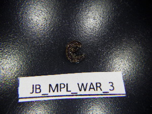  ( - JB_MPL_WAR_3)  @11 [ ] CreativeCommons - Attribution Non-Commercial Share-Alike (2025) Unspecified University of Lodz, Department of Invertebrate Zoology and Hydrobiology
