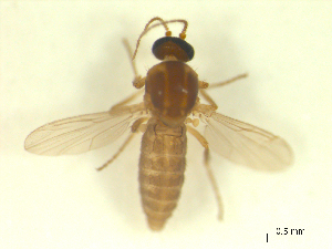  ( - BIOUG02452-A10)  @11 [ ] CreativeCommons - Attribution (2012) CBG Photography Group Centre for Biodiversity Genomics