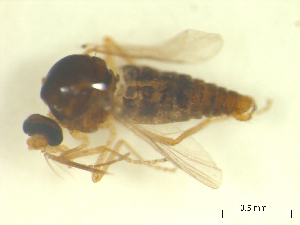 ( - BIOUG02452-B10)  @12 [ ] CreativeCommons - Attribution (2012) CBG Photography Group Centre for Biodiversity Genomics