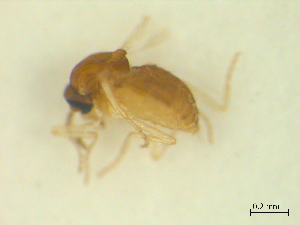  ( - BIOUG02452-C03)  @12 [ ] CreativeCommons - Attribution (2012) CBG Photography Group Centre for Biodiversity Genomics