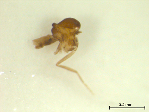  ( - BIOUG02452-D02)  @11 [ ] CreativeCommons - Attribution (2012) CBG Photography Group Centre for Biodiversity Genomics