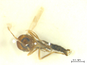  ( - BIOUG02452-D07)  @12 [ ] CreativeCommons - Attribution (2012) CBG Photography Group Centre for Biodiversity Genomics