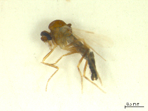  ( - BIOUG02452-D09)  @12 [ ] CreativeCommons - Attribution (2012) CBG Photography Group Centre for Biodiversity Genomics