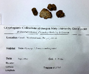  ( - JT25787)  @11 [ ] by-nc-sa (2020) Rosanne Healy University of Florida Mycological Herbarium