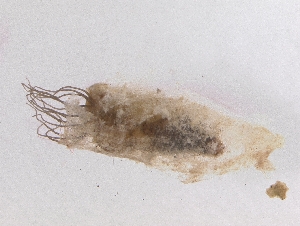  ( - Chu_Sinoe_03)  @12 [ ] Unspecified (default): All Rights Reserved  Unspecified Unspecified