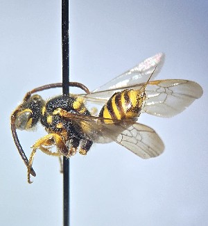  ( - JBWM0371026)  @11 [ ] by (2025) Jason Gibbs University of Manitoba