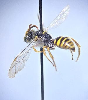  ( - JBWM0371027)  @11 [ ] by (2025) Jason Gibbs University of Manitoba